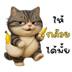 แมวเทากับเรื่องกล้วยๆ(มินิ)