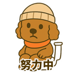 Chinese version Poodle - Machi kun 01