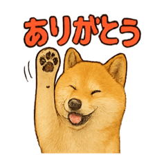 Suzu_20250611082204