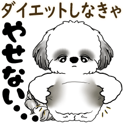 B&W Moving Shih tzu 2025 (diet)