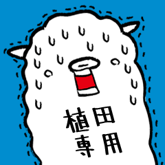 (Only for Ueda) Alpaca