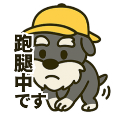 Chinese Version the Schnauzer-Zuma kun01