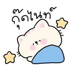 Cat cute cute cute*)