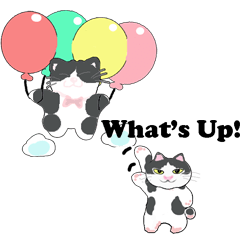 เหมียว...เหมียว...