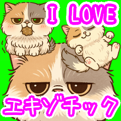 エキゾチックにかわいい猫スタンプ