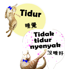 Cute orange cat's life diary-3-420