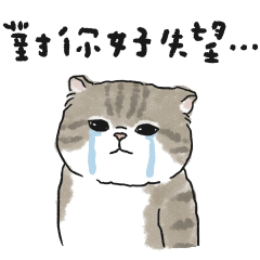 情勒的奶油小生(虎斑貓)