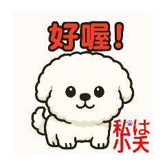 small_20250611205400