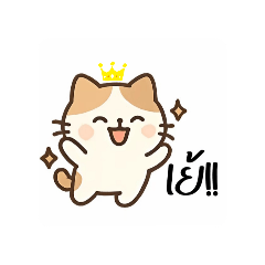まりんです₊⁎⁺˳✧༚ Rosalin._._20250611194406 – LINE 스티커 | LINE STORE