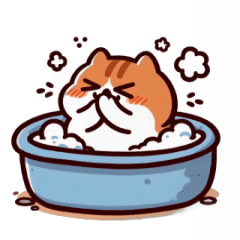 Bath Cat Holding Back Laughter,