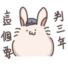 兩耳兔