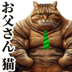 Dad's cat