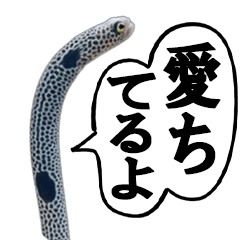 Chin-anago Stamps