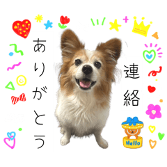 Oujikun last