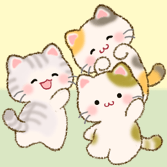 The cute little kittens