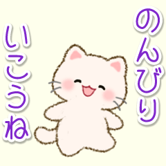 The cute white kitten