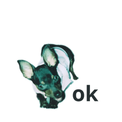 hiyori_20250611222845