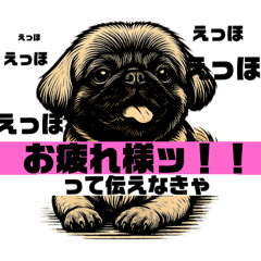 ruka1027_20250612000227