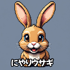 感情いろいろ！ウサギスタンプ