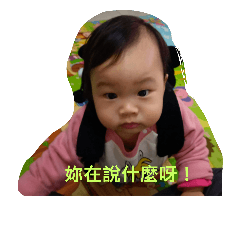 朱言言專區