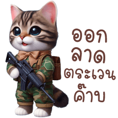 Captain Tabby: Chat on Command!