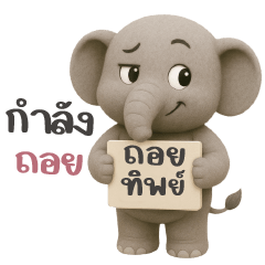 ช้างน้อยสีเทา ช้างน้อยน่ารัก
