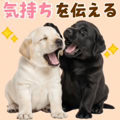 毎日使える！感情豊かなラブラドール
