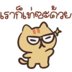 แมวเหลือง มาละงับ