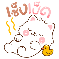 Snowy Meow: Too Cute to Handle!