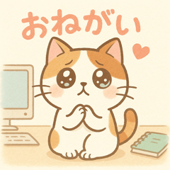 Shirocha the Cat's Busy Day!