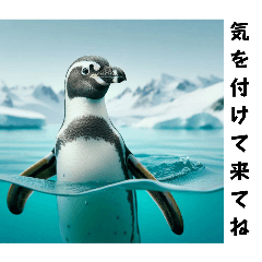real penguin 01