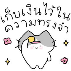 น้องแมว มิวชู