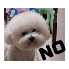 Jhennnn_20250613011434