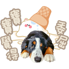 Taylor 寶寶生活記趣