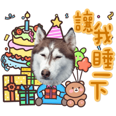 四張嘴五顏六色