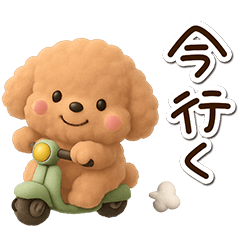 トイプードル「アプリコット」3D - LINE スタンプ | LINE STORE トイプードル「アプリコット」3D - LINE スタンプ | LINE STORE