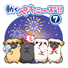 動くペキニーズ!!７夏だ！