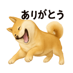 Suzu_20250612082713