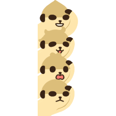 Meerkat still watching! 3