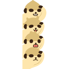 Meerkat still watching! 3