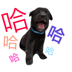 Tung-tung's childhood