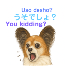 Sally_20250609211448