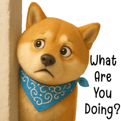 Shiba cute funny dog (EN)