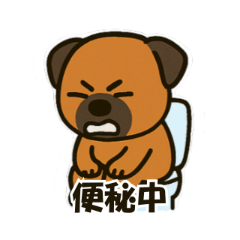 JP version Little Dog-Hei lian02