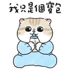 任性小寶包奶油小生(淺奶油虎斑貓)