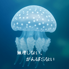 Japanese Edition: Jellyfish Quotes01