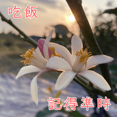 Caring for You in One Sentence