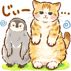 猫たちとペンギンのスタンプ♡【丁寧敬語】