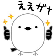 シマエナガ　カワエエガナ