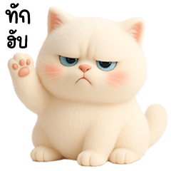 แมวขาวปุกปุยตัวตึง